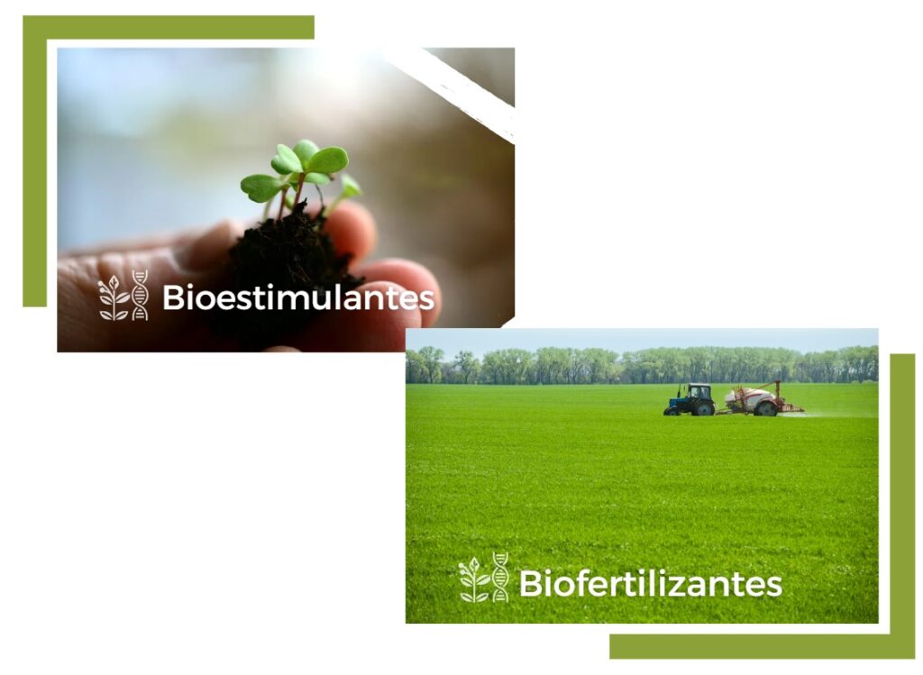 Asoil Biofertilizante y Bioinsumos