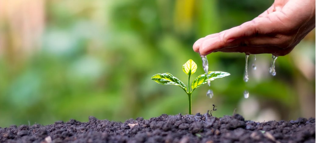 Asesoramos agricultores y empresas locales, en el uso de nuevas tecnologías de nutrición de cultivos para disminuir el uso de fertilizantes convencionales.